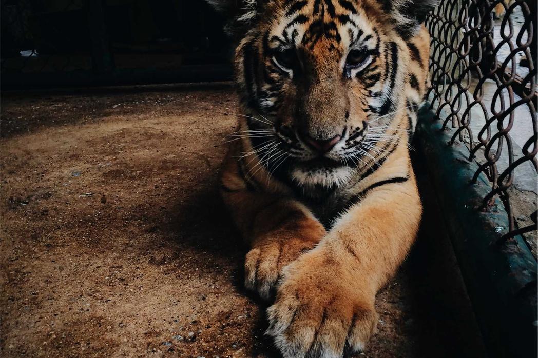 Earum perspiciatis aut ipsum itaque