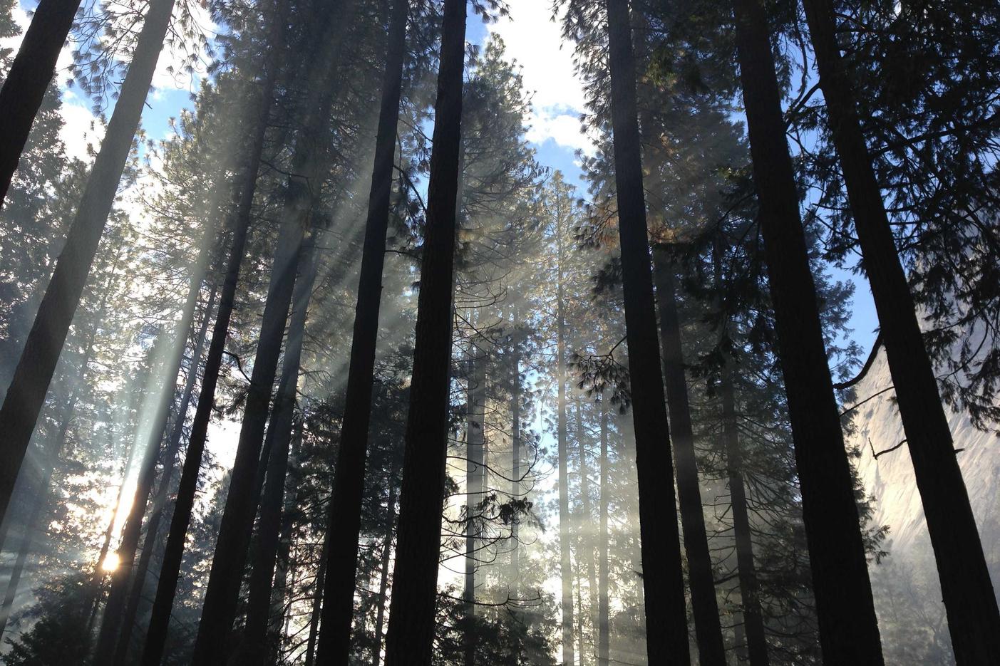 Quisquam non hic amet expedita et