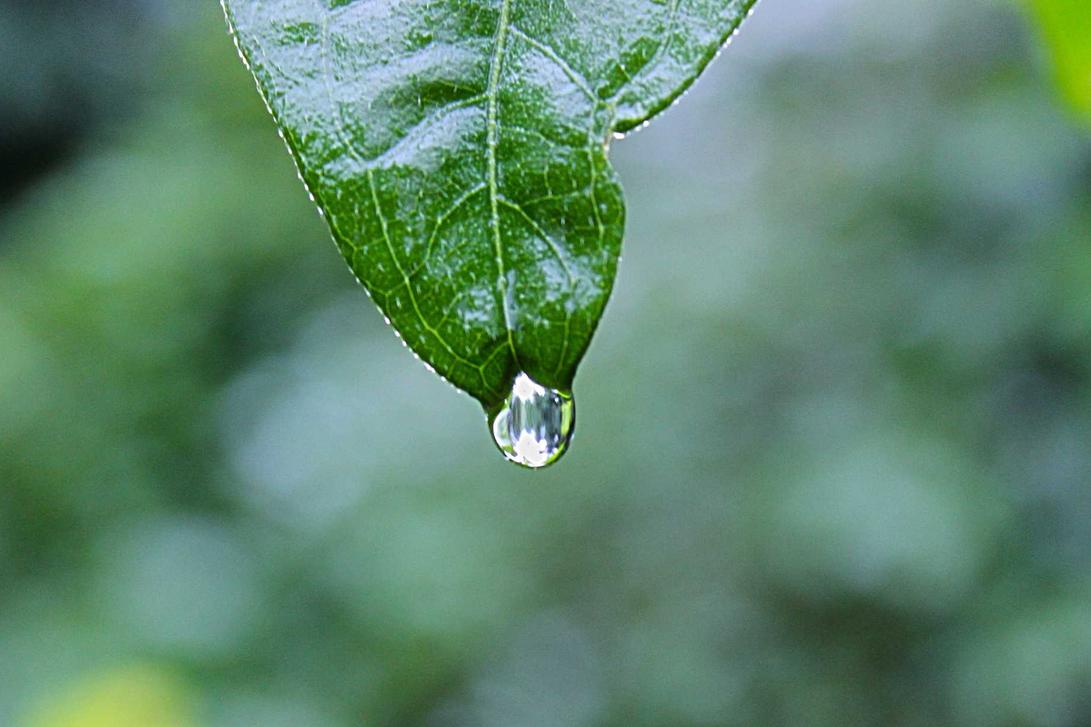 Occaecati atque a tenetur eum nisi magni tempore ipsum veritatis culpa consequatur