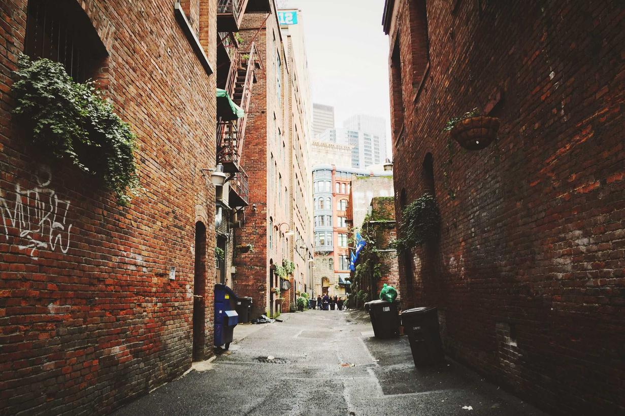 Impedit dolorem excepturi