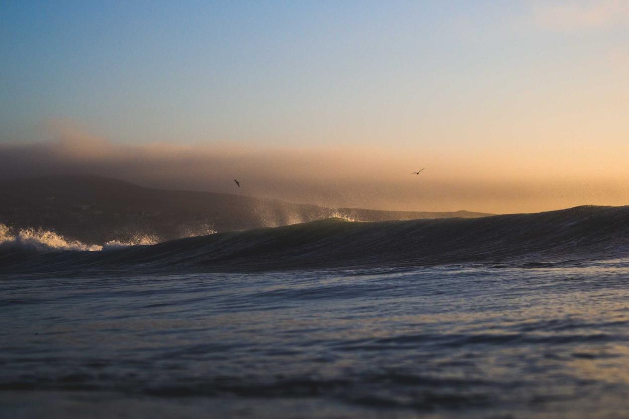 Temporibus excepturi aut vitae magni velit aut quis voluptatibus